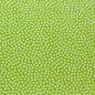 Preview: Baumwolle Dotty Kiwi/Weiß by Swafing
